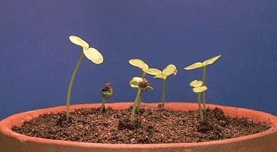 全国女性注意了！一分钟快速自检乳腺癌