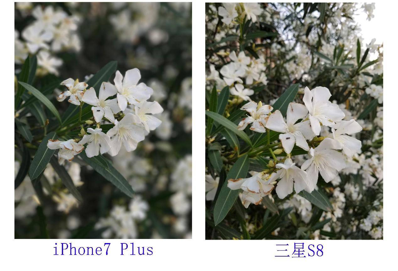 三星S8体验:不是简单的“机皇”,而是全能领袖!