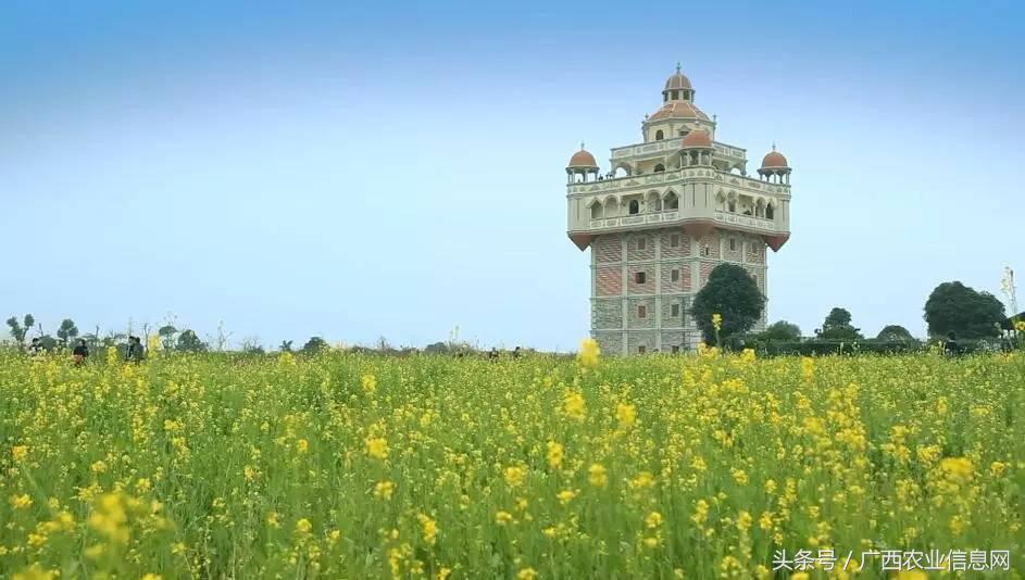 广西苏式园林,合浦周边园林