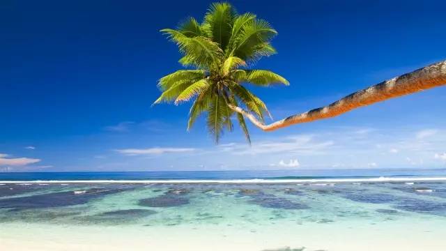 马尔代夫的温柔与浪漫,马尔代夫遇见爱情