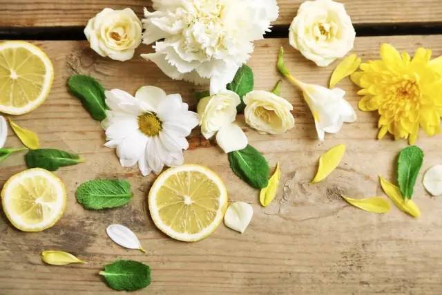 适合室内种植又有香味的植物,四季开花而且花香好养的植物