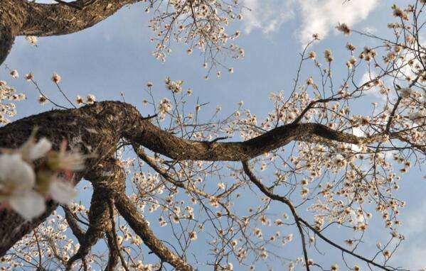 中国大学最多的十座城市,中国最多大学的城市排名前十