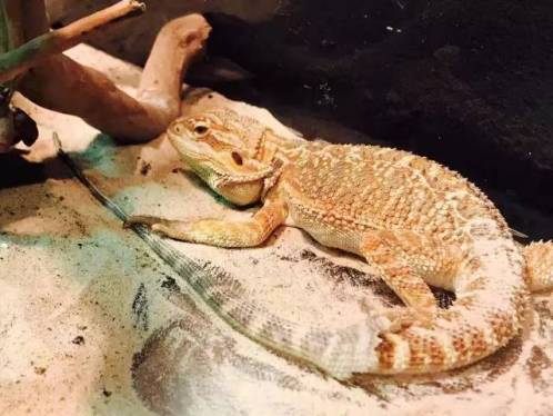 高考完去哪儿玩攻略,高考中考结束嗨玩好去处