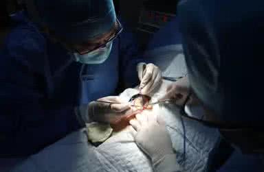 白癜风自体表皮移植全过程,白癜风表皮移植半个月还是白色的