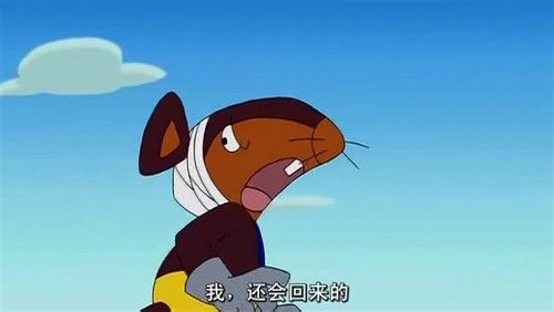 吃猫的老鼠是什么鼠,吃猫鼠的鼠是什么品种