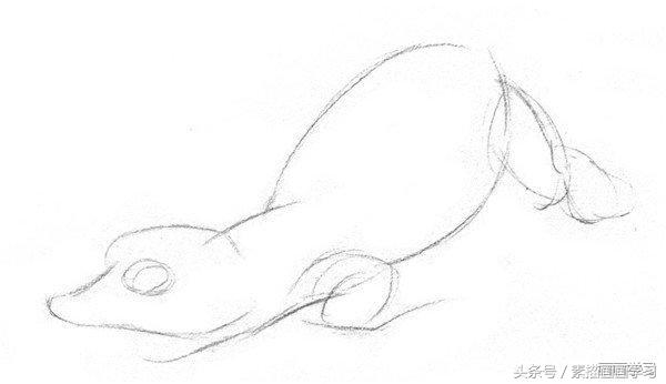 如何学素描——素描小鳄鱼的绘画教程