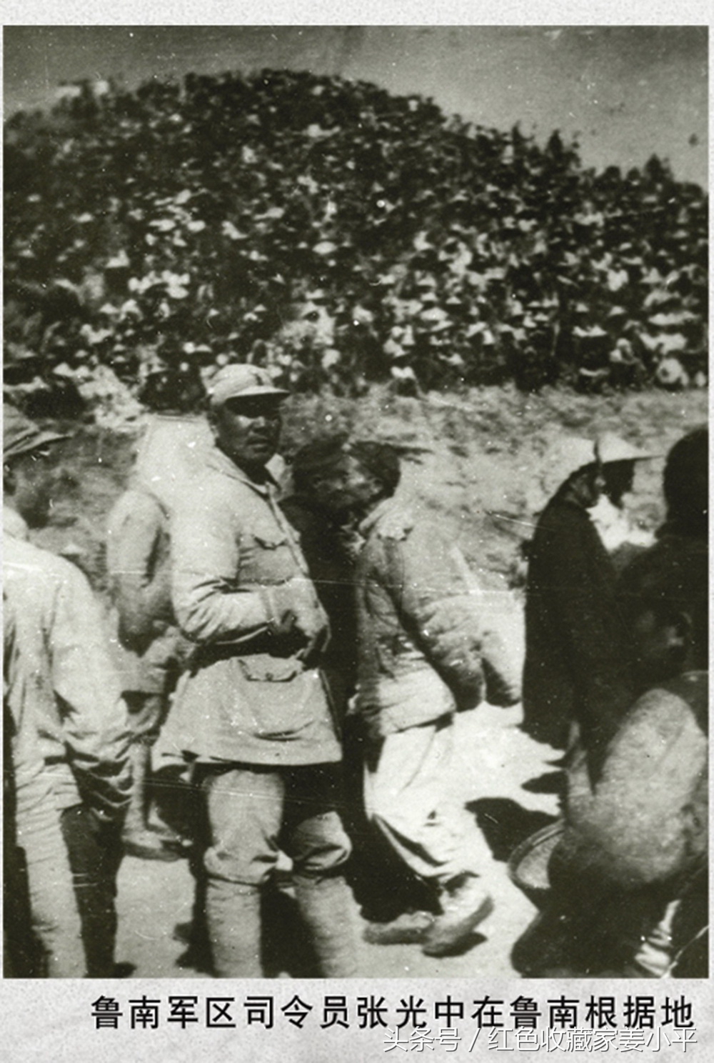 曾率部击毙日军少将原徐州市市长张光中任命科长证书