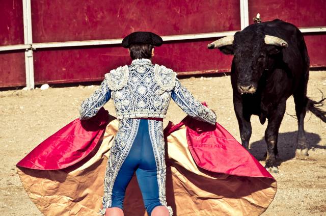 新西兰西班牙斗牛,西班牙杀斗牛