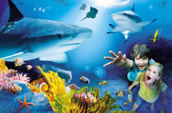 布莱克浦市海滩,布莱克浦的景点