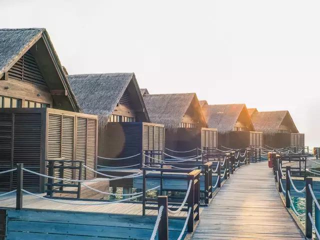 喜大普奔完整版视频,喜大普奔完整视频