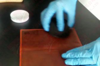 皮夹发霉怎么办,皮衣放久了有霉斑怎么办