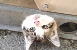 滑板少年搞笑素材,滑板搞笑图片卡通