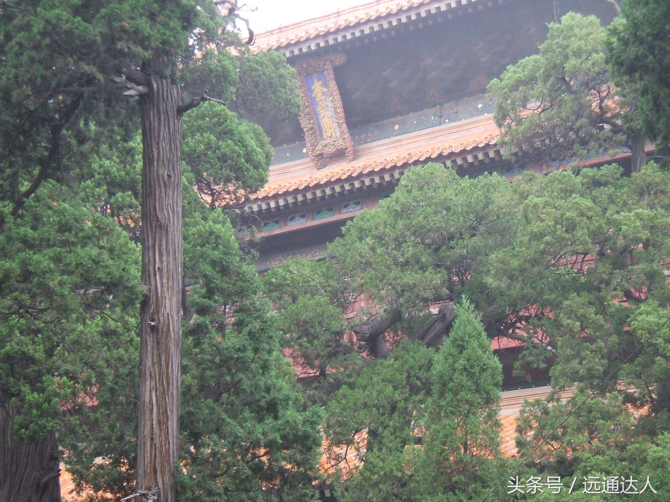 身为泰安人第一次爬泰山,陪爷爷爬泰山感慨朋友圈