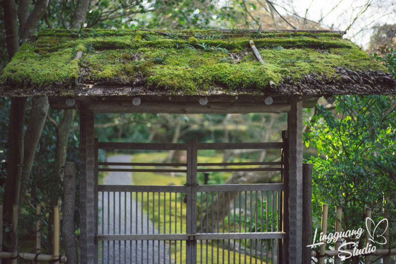 日本深度游名古屋观光,游走日本名古屋