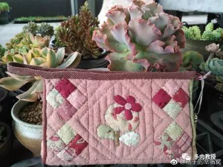 多肉的奇特之处,养的多肉长了蘑菇