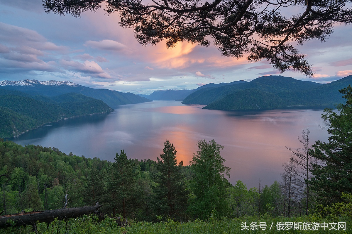 阿尔泰怎么样,阿尔泰什么地方