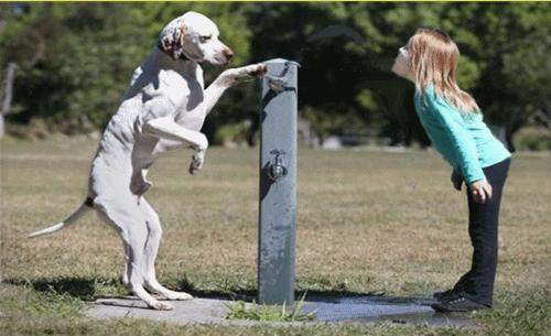 做装修的商业思维,家装建材营销技巧