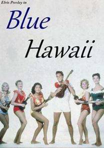 夏威夷深度游攻略,夏威夷恐龙湾浮潜视频