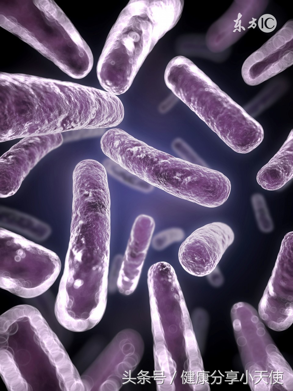 肠道菌群重建的机制和方法,如何维持肠道共生微生物稳态平衡