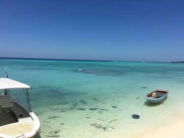 喜大普奔完整版视频,喜大普奔完整视频