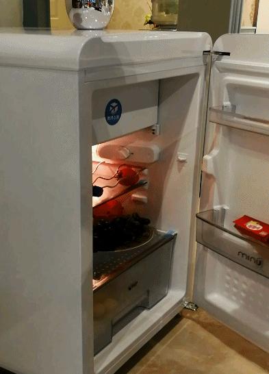 小吉冰箱和海尔冰箱哪个好,小吉冰箱和哈士奇冰箱哪个好