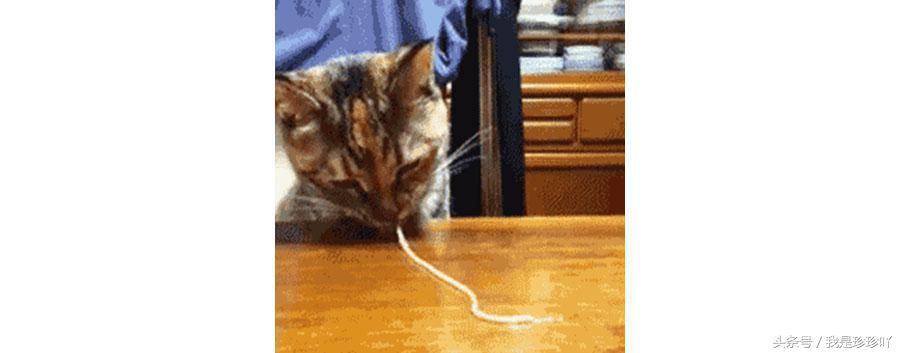 美容仪器导入导出仪的作用,导入导出仪是智商税吗