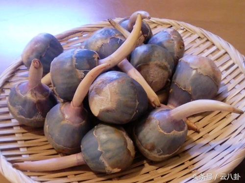 孕期可以喝的养生汤,孕期超好喝的十种黄金汤