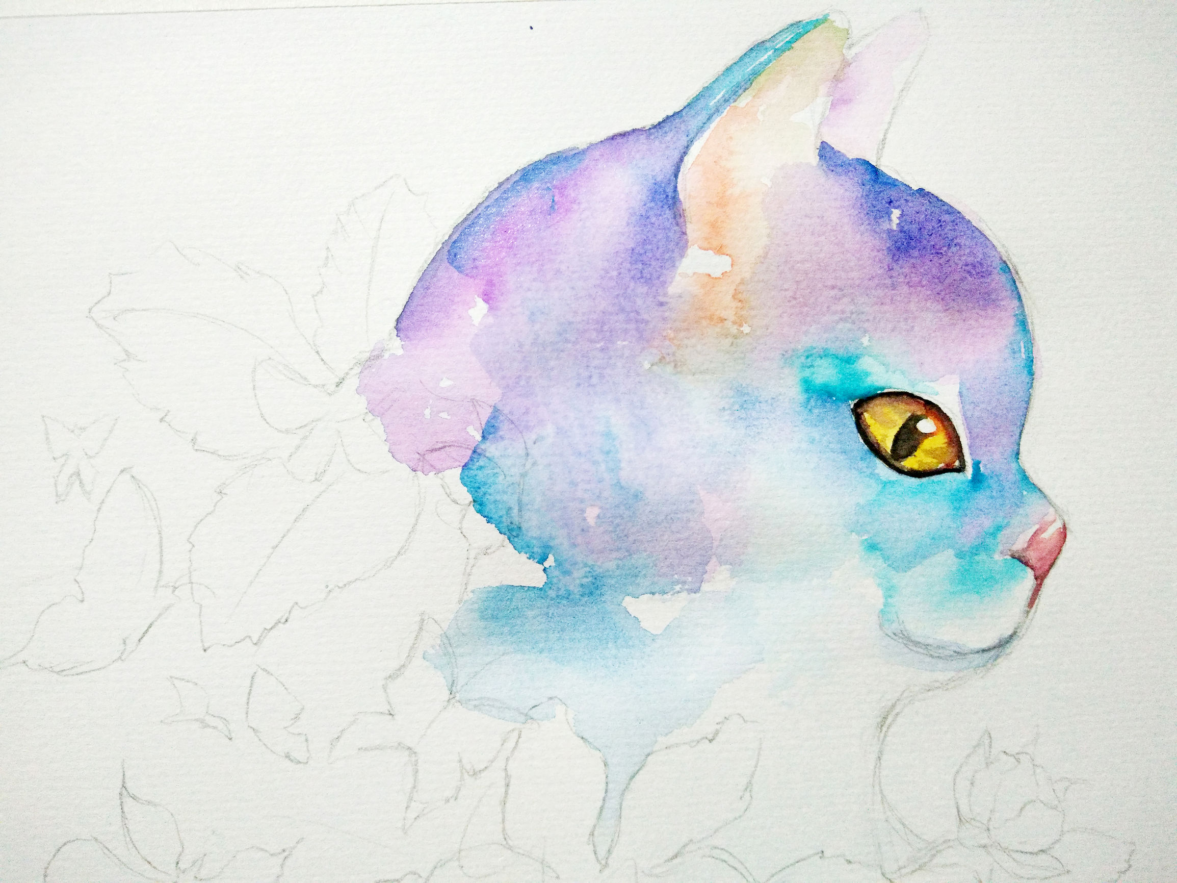 猫咪快速学会的技巧,猫咪快速教学