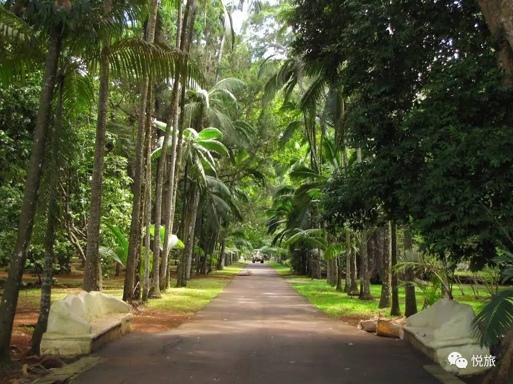 毛里求斯出境旅游攻略,刚去毛里求斯的人可以免签30天吗