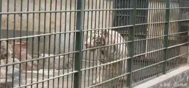 汕头十大公园,汕头最美园景