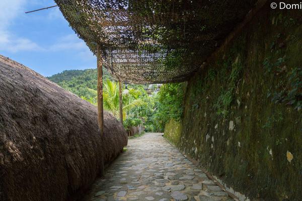 一顿海鲜大餐都有什么,海鲜大餐又便宜又营养又好吃