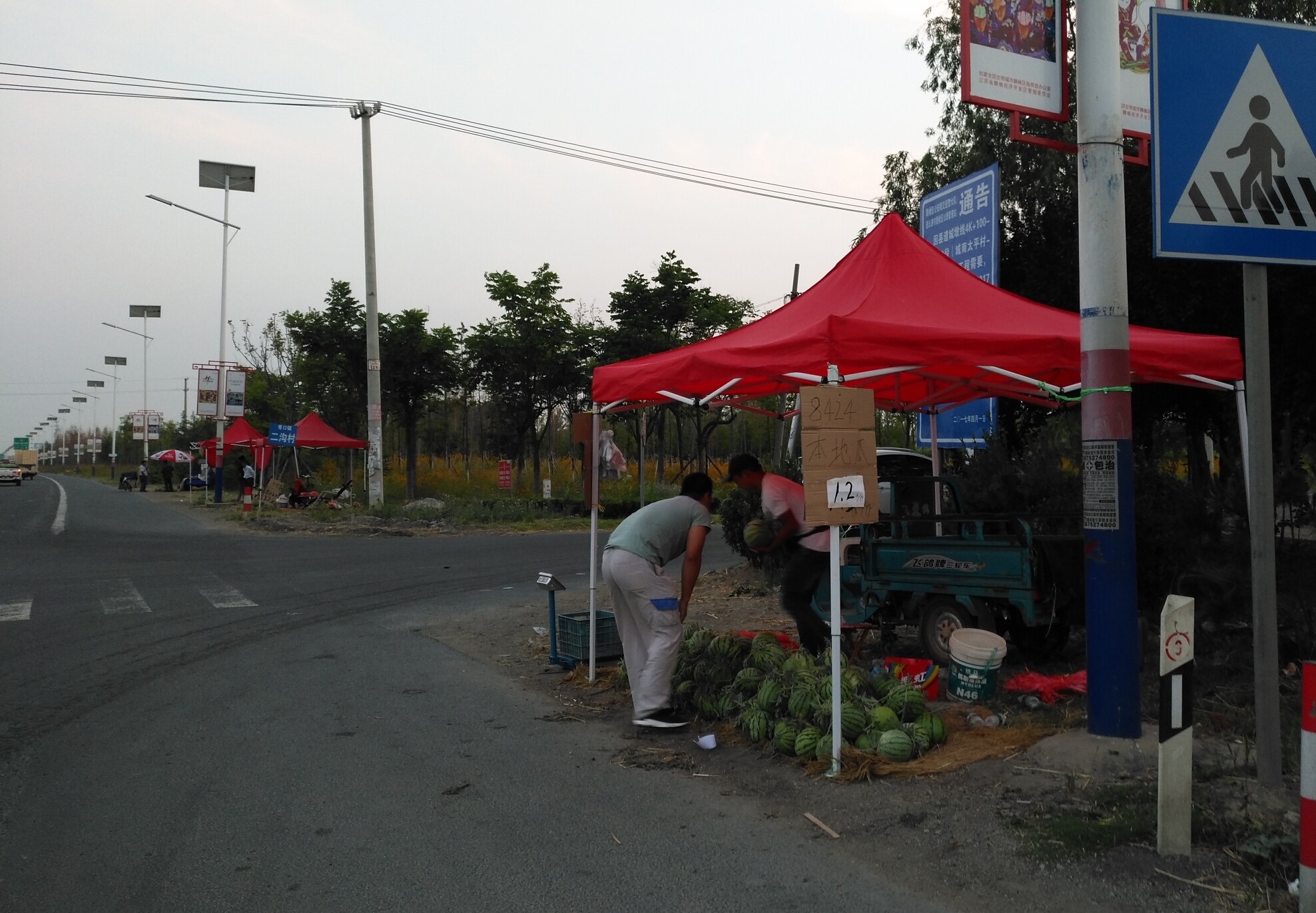 西瓜滞销行情,今年西瓜大概什么时候能便宜