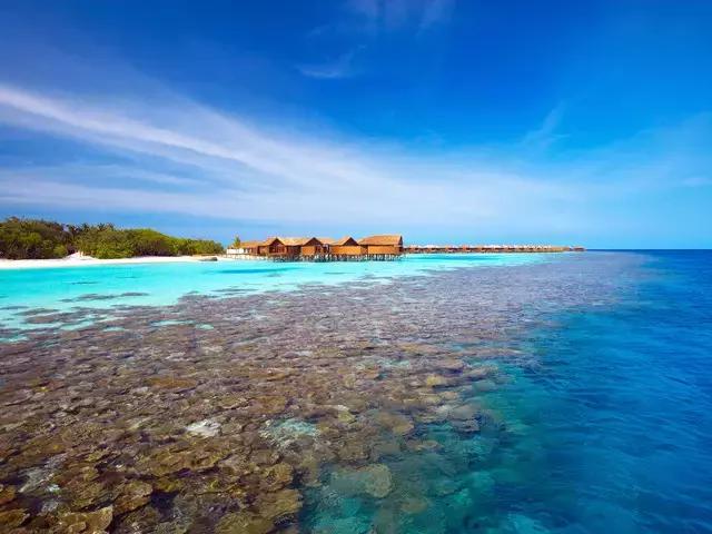 喜大普奔完整版视频,喜大普奔完整视频