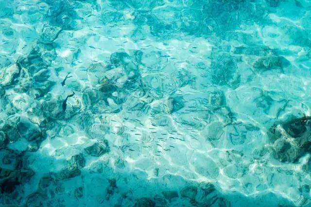 谁说带着娃就不能度蜜月？｜你没见过的马尔代夫游记