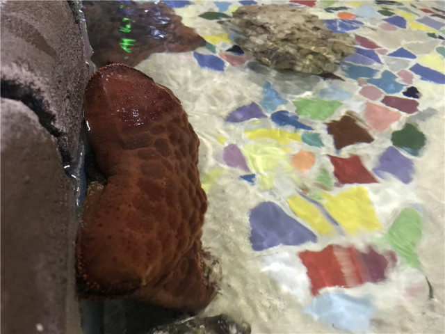 沈阳水上乐园七星海世界怎么样,沈阳七星海世界亲子主题乐园冲浪