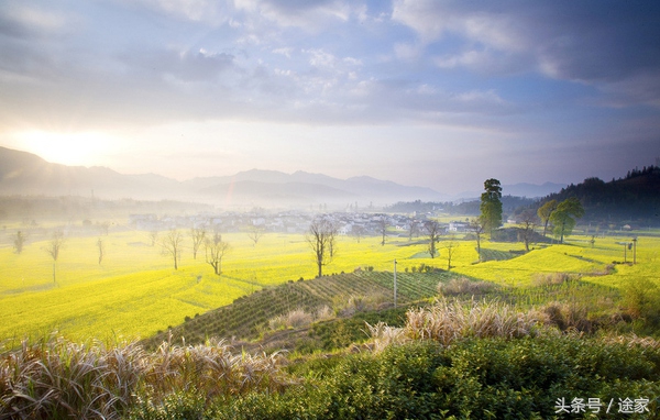 上海附近古镇一日游自驾游,上海周边古镇自驾游景点推荐