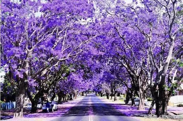 kevin老师留学,kevin马老师谈留学