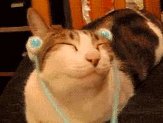 whoo里面那个金棒干嘛用的,whoo万能棒