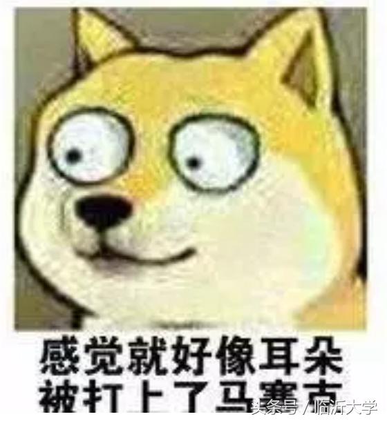 四六级裸考救命技巧,四六级裸考过的计算机专业