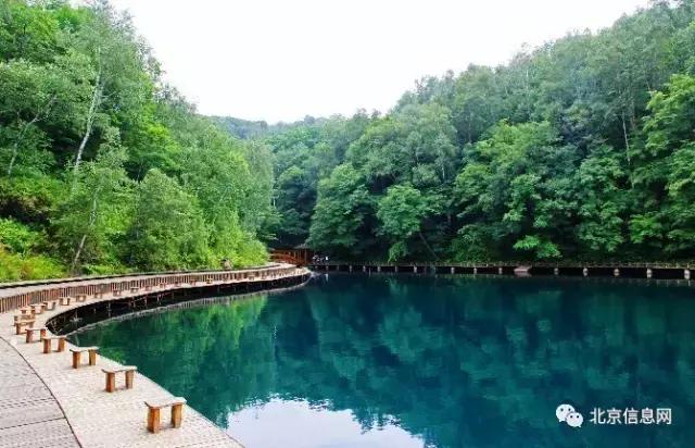 父亲节陪爸爸去玩耍,爸爸和宝贝间的互动父亲节