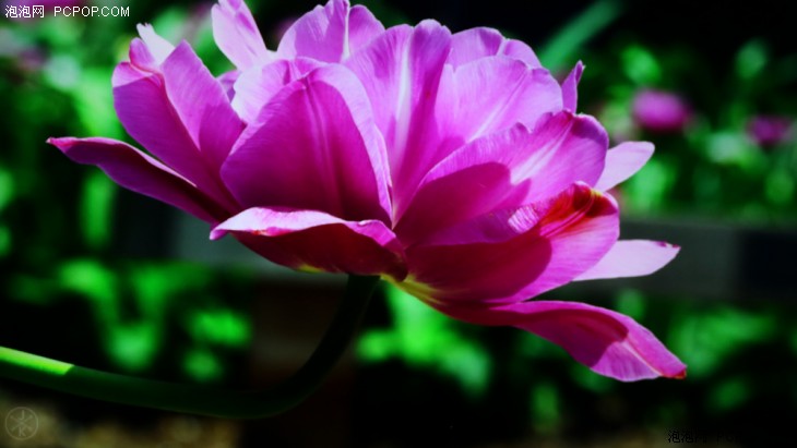 夏普aquos电视2008款,夏普电视还值得买吗