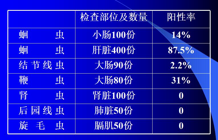 猪寄生虫对猪场的危害,猪寄生虫对母猪的危害