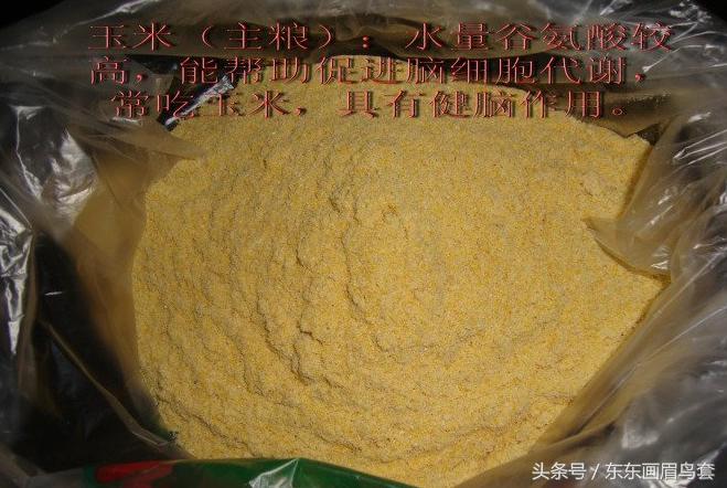 画眉鸟的叫声视频播放,画眉鸟的叫声藏有哪些知识