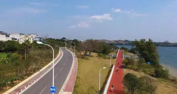 柳州,一座经常被电驴超车的城市!看完一把辛酸泪