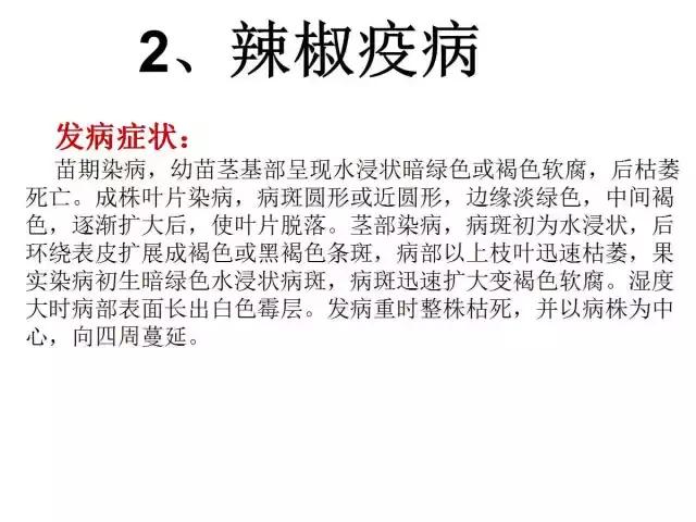 辣椒卷叶病虫害图谱及防治方案,辣椒病虫害大全
