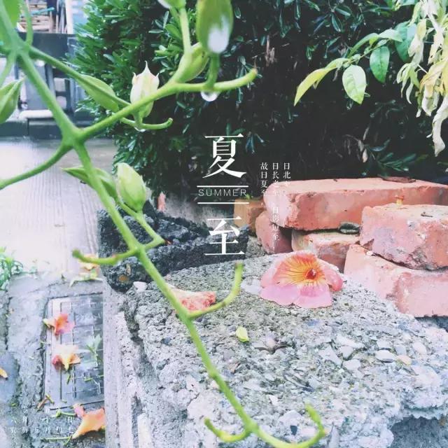 夏至到了清凉一夏,夏至来临给你清凉夏日体验