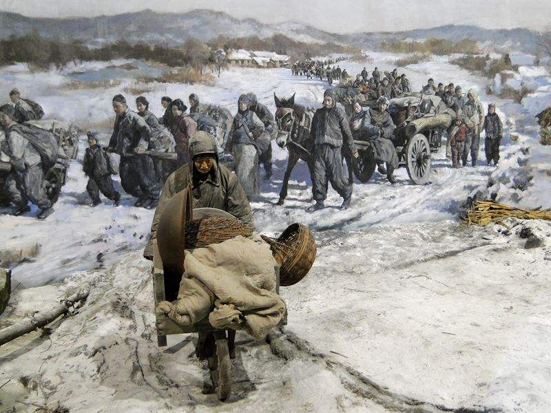 闯关东买人参后续,闯关东人参是真的还是假的