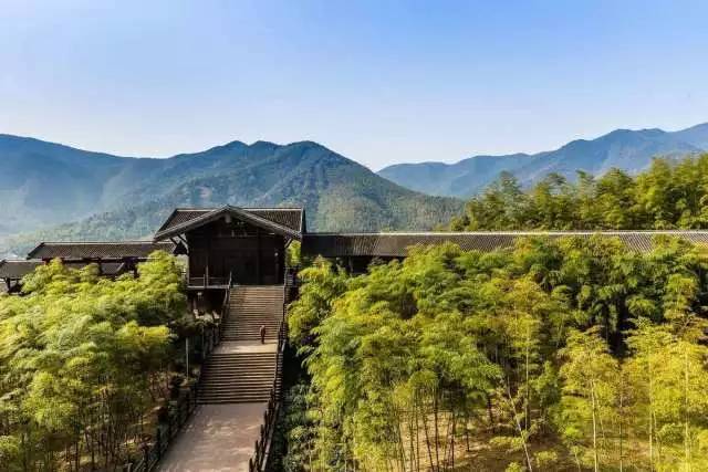 茶传媒采访视频,茶传媒深度访谈