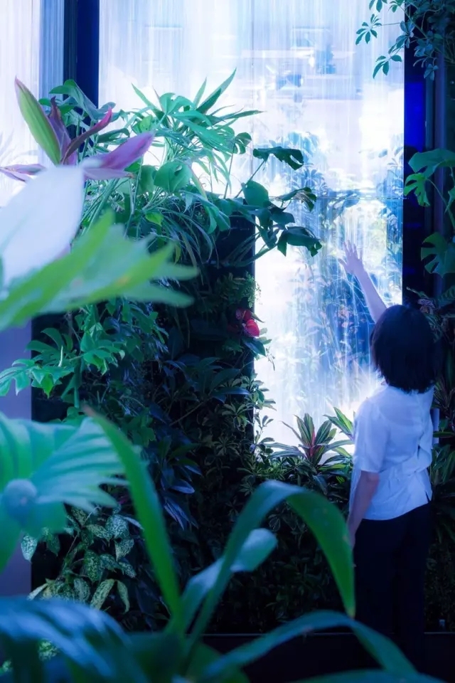 休假都不想去上班了,没有假期的工作好累想出去走走