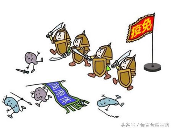 买益生菌120块钱,购买益生菌的猫腻